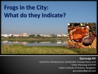 Frogs in the City:What do they Indicate? Gururaja KV Centre for infrastructure, Sustainable Transportation and  Urban Planning (CiSTUP) Indian Institute of Science, Bangalore  gururajakv@gmail.com 