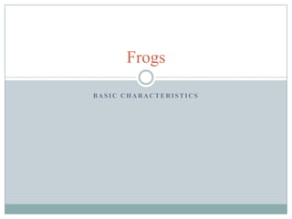Basic Characteristics  Frogs 