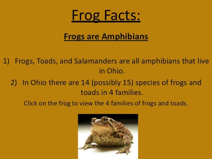frogsmac