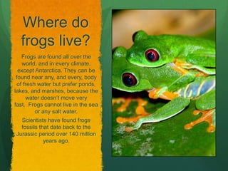 Where do
  frogs live?
    Frogs are found all over the
    world, and in every climate,
  except Antarctica. They can be
 found near any, and every, body
  of fresh water but prefer ponds,
lakes, and marshes, because the
      water doesn’t move very
fast. Frogs cannot live in the sea
          or any salt water.
  Scientists have found frogs
  fossils that date back to the
Jurassic period over 140 million
            years ago.
 