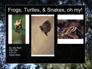 Frogs, Turtles, & Snakes, oh my! By: Elly Plath EDU 290 4-21-11 Digital Story 