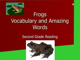 Frogs Vocabulary and Amazing Words Second Grade Reading 