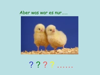 Aber was war es nur…… ?   ?   ?   ?   …… 