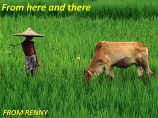 From here and there From Renny 