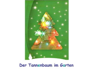 Der Tannenbaum im Garten