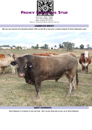 Froiky Bazadais Stud
                                           60 Lilybrook Road
                                          Coulson QLD 4310
                                          Ph: 07) 5463 5231
                                          Mob: 0410 47 57 13
                                   Email: sueandian@skymesh.com.au
                                         GARBROOK BRODY
We had two seasons with Garbrook Brody. (48 calves) He is now with a friend covering 17 Santa Gertrudis cows.




                                         SAINT DOMINION
        Saint Dominion is standing at our stud now. Any calves from now on will be by Saint Dominion
 