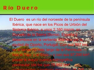 R ío D u e r o

    El Duero es un río del noroeste de la península
      Ibérica, que nace en los Picos de Urbión del
      Sistema Ibérico, a unos 2.160 msnm, en
      Duruelo de la Sierra (Sonia), España y
      desemboca en la vertiente atlántica por la
      ciudad de Oporto, Portugal. Con sus 897 km,
      es el tercer río más largo de la Península —
      tras el Tajo y el Ebro— y con sus 97.290 km²,
      posee la mayor cuenca hidrográfica
      peninsular (de los que 78.952 km²
                          
 