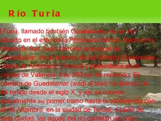 R ío T u r ia
l Turia, llamado también Guadalaviar, es un río
 situado en el este de la Península Ibérica. Nace en la
 Muela de San Juan, término municipal de
 Guadalaviar, en el entorno de los Montes Universales,
 Sierra de Albarracín (Teruel) y desemboca en la
 ciudad de Valencia tras 280 km de recorrido. El
 nombre de Guadalaviar (wadi al biad 'río blanco') lo
 ha tenido desde el siglo X, y así se conoce
 actualmente su primer tramo hasta la confluencia con
 el río Alfambra en la ciudad de Teruel; a partir de
 esta ciudad, las aguas del río cambian de color,
                               
 