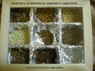 FROITOS E SEMENTES DE ÁRBORES E ARBUSTOS.




        YOLANDA FONTÁN ABILLEIRA.
 