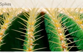 From Amber To Green in Four Weeks