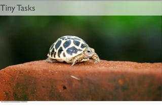 From Amber To Green in Four Weeks