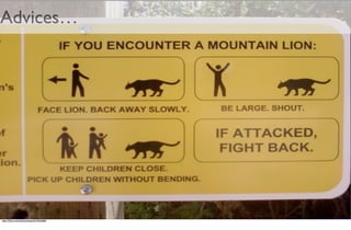 From Amber To Green in Four Weeks