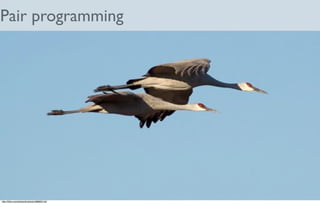 From Amber To Green in Four Weeks