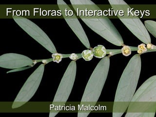 From Floras to Interactive Keys Patricia Malcolm 