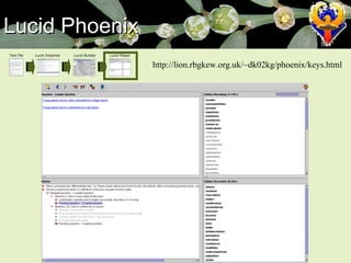 Lucid Phoenix Text file Lucid Importer Lucid Builder Lucid Player http://lion.rbgkew.org.uk/~dk02kg/phoenix/keys.html 