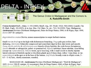 DELTA - INTKEY The Genus  Croton  in Madagascar and the Comoro Is. A. Radcliffe-Smith  Text file 