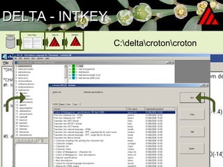 DELTA - INTKEY Database Text files DELTA INTKEY C:\delta\croton\croton 