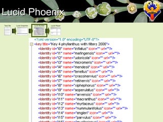 Lucid Phoenix Text file Lucid Importer Lucid Builder Lucid Player 
