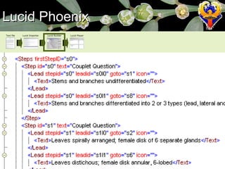Lucid Phoenix Text file Lucid Importer Lucid Builder Lucid Player 
