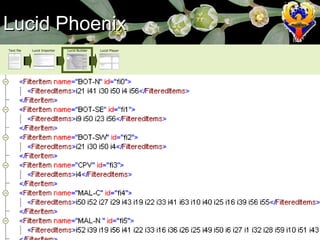 Lucid Phoenix Text file Lucid Importer Lucid Builder Lucid Player 