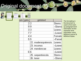 Original document The formatting in the document is used to first mark-up paragraph level information & then character level information using MSWord macros & MSWord Styles.  