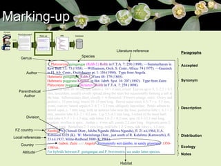 Marking-up Accepted Synonym Description Distribution Ecology Notes Paragraphs Genus Habitat Altitude Country FZ country Division Author Species Parenthetical Author Literature reference Local   references 