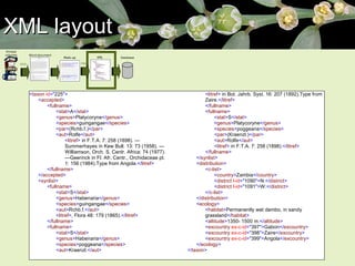 XML layout 