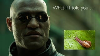 What if I told you …
 