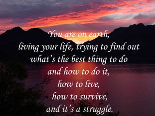You are on earth,  living your life, trying to find out  what’s the best thing to do  and how to do it,  how to live,  how to survive, and it’s a struggle. 