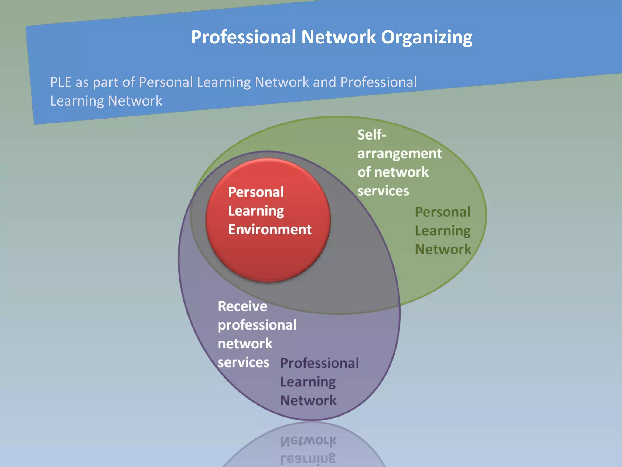 Professional Network Organizing
PLE as part of Personal Learning Network and Professional
Learning Network
 