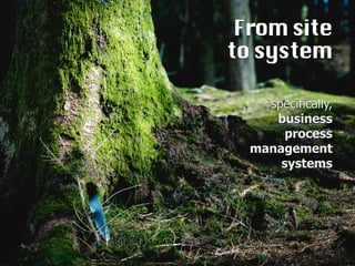 From site

tosystem
specifically,
business
process
management
systems
 
