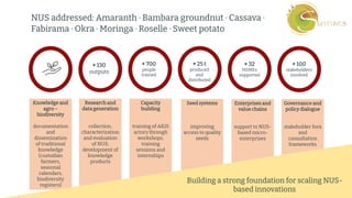 preencoded.png
NUS addressed: Amaranth · Bambara groundnut · Cassava ·
Fabirama · Okra · Moringa · Roselle · Sweet potato
Knowledge and
agro –
biodiversity
documentation
and
dissemination
of traditional
knowledge
(custodian
farmers,
seasonal
calendars,
biodiversity
registers)
Research and
data generation
collection,
characterization
and evaluation
of NUS;
development of
knowledge
products
Capacity
building
training of AKIS
actors through
workshops,
training
sessions and
internships
Seed systems
improving
access to quality
seeds
Enterprises and
value chains
support to NUS-
based micro-
enterprises
Governance and
policy dialogue
stakeholder fora
and
consultation
frameworks
+ 130
outputs
+ 700
people
trained
+ 25 t
produced
and
distributed
+ 32
MSMEs
supported
+ 100
stakeholders
involved
Building a strong foundation for scaling NUS-
based innovations
 