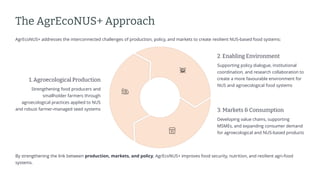 preencoded.png
The AgrEcoNUS+ Approach
AgrEcoNUS+ addresses the interconnected challenges of production, policy, and markets to create resilient NUS-based food systems:
1. Agroecological Production
Strengthening food producers and
smallholder farmers through
agroecological practices applied to NUS
and robust farmer-managed seed systems
2. Enabling Environment
Supporting policy dialogue, institutional
coordination, and research collaboration to
create a more favourable environment for
NUS and agroecological food systems
3. Markets & Consumption
Developing value chains, supporting
MSMEs, and expanding consumer demand
for agroecological and NUS-based products
By strengthening the link between production, markets, and policy, AgrEcoNUS+ improves food security, nutrition, and resilient agri-food
systems.
 