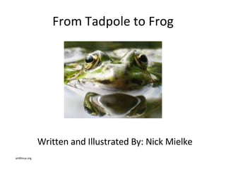 From Tadpole to Frog ,[object Object],[object Object]