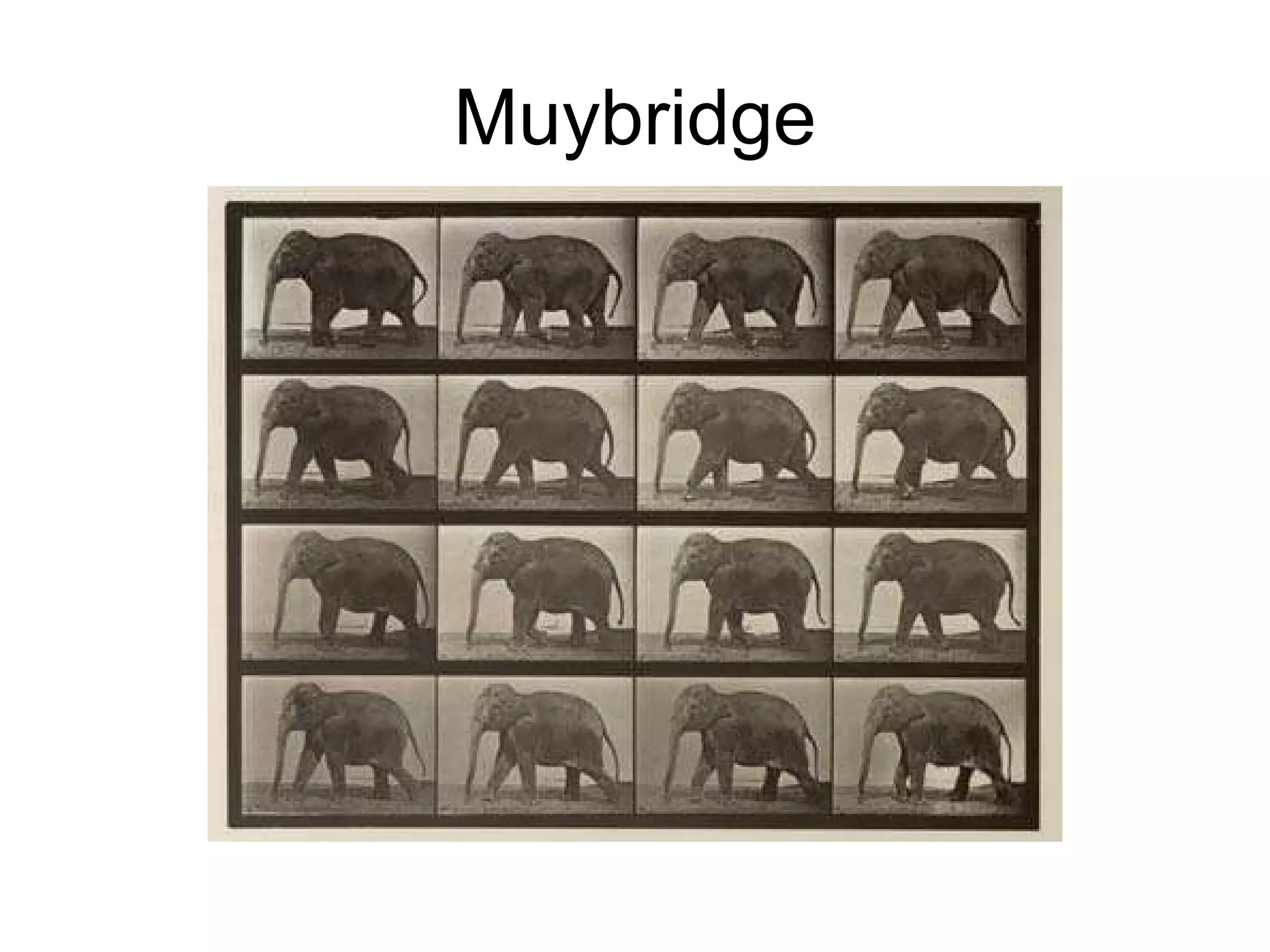 Muybridge 