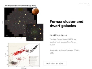 Roberto Muñoz 5
The Next Fornax Survey (NGFS) is a
panchromatic survey of the Fornax
cluster.
Study giant and dwarf galaxies, GCs and
UCDs.
Fornax cluster and
dwarf galaxies
H u n t i n g g h o s t s
M u ñ o z e t a l . 2 0 1 5
 