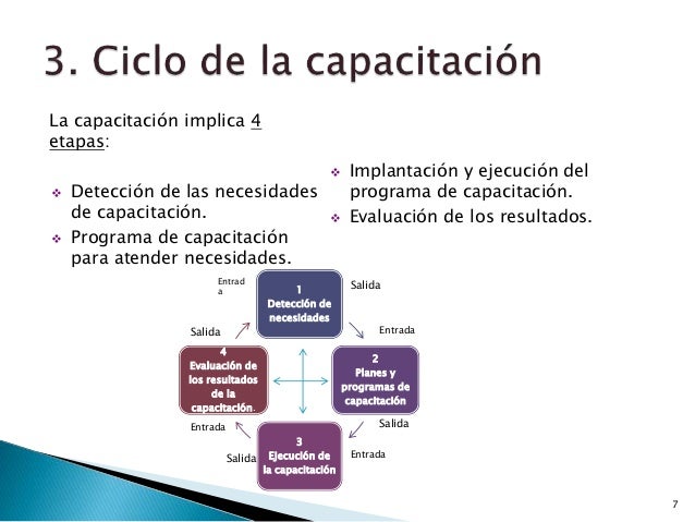 Fromación y desarrollo del talento humano