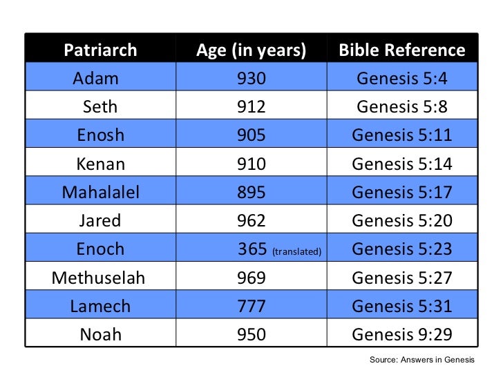 Salvation Lessons From Adam To Noah Salvation Lessons From Adam To Noah