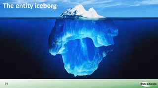 74
The entity iceberg
 