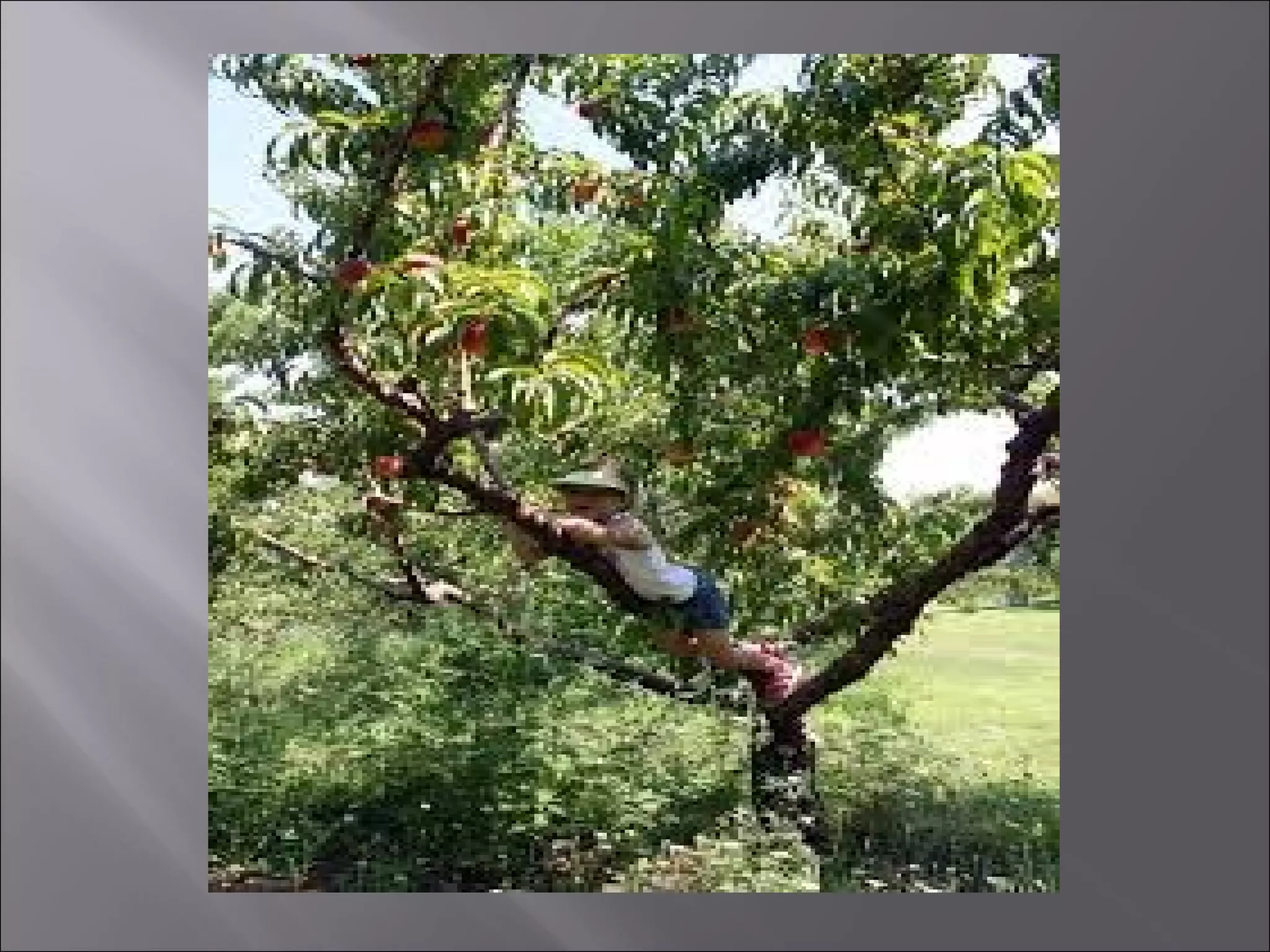 From a railway carriage