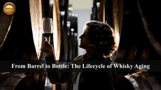 From Barrel to Bottle: The Lifecycle of Whisky Aging
 
