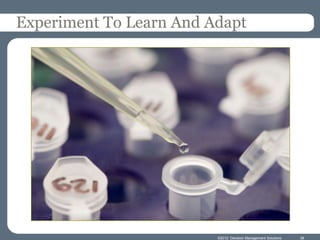 Experiment To Learn And Adapt




                         ©2012 Decision Management Solutions   38
 