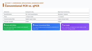 Comprehensive Guide to PCR Workflow: From Basics to Real-Time ...