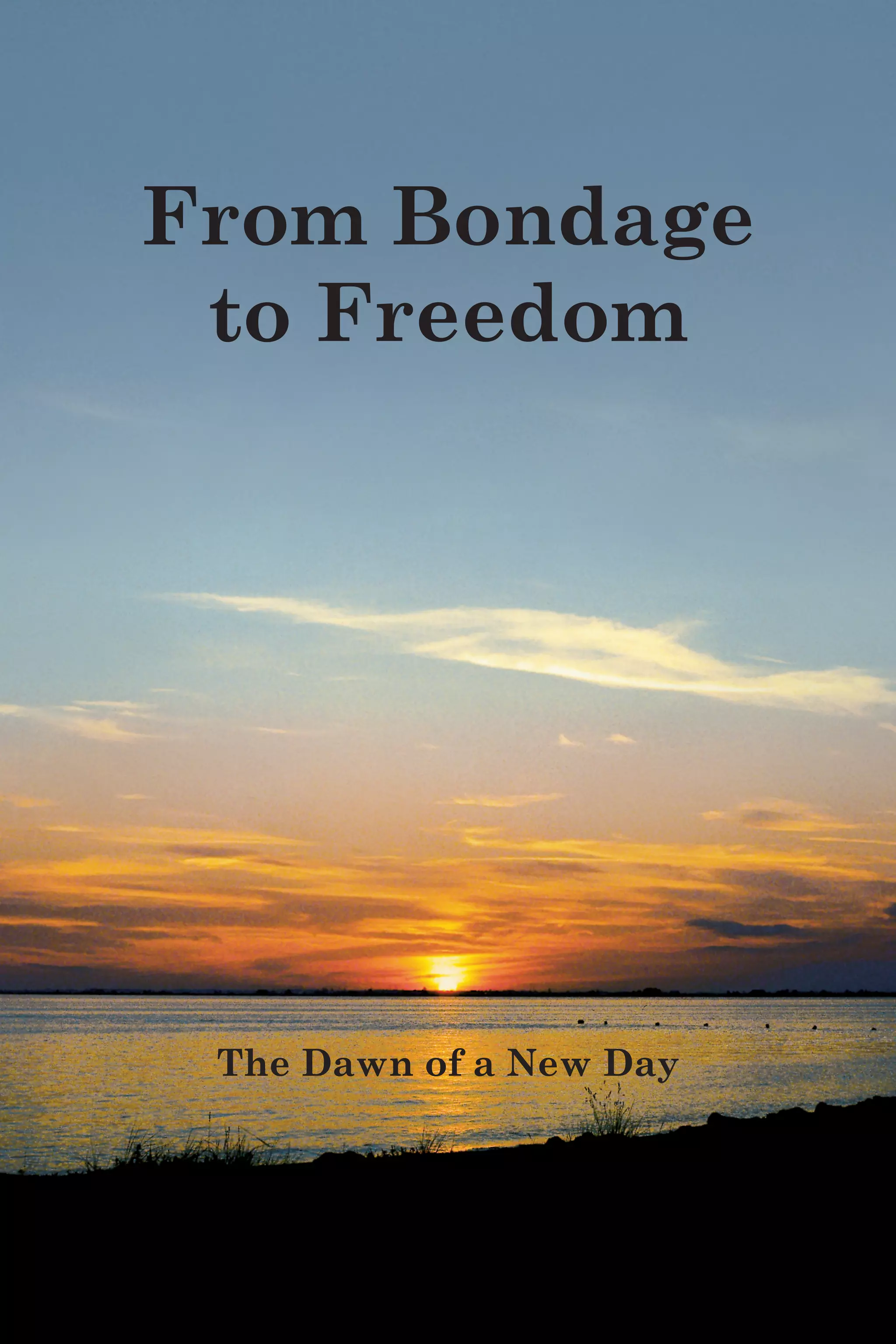 From_Bondage_To_Freedom PDF