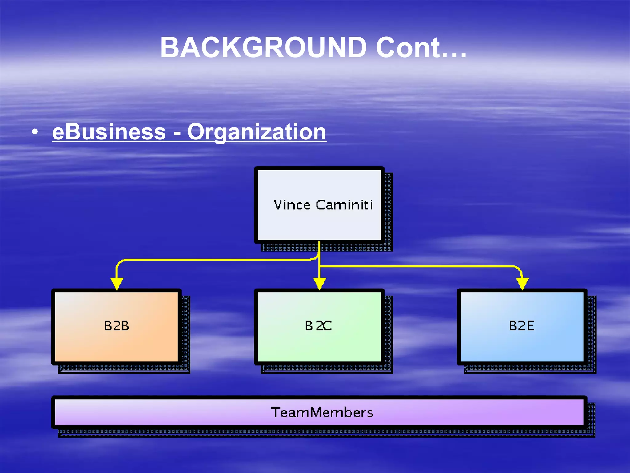 eBusiness - Organization BACKGROUND Cont… 