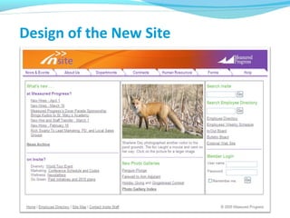 Design of the New Site
 