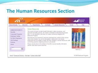 The Human Resources Section
 