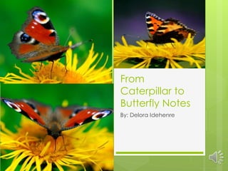 From
Caterpillar to
Butterfly Notes
By: Delora Idehenre
 