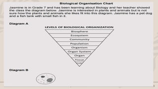 20XX presentation title 13
 