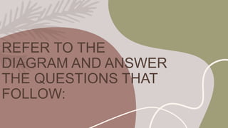 REFER TO THE
DIAGRAM AND ANSWER
THE QUESTIONS THAT
FOLLOW:
 